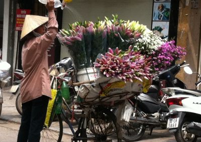 file-nov-10-23-06-45