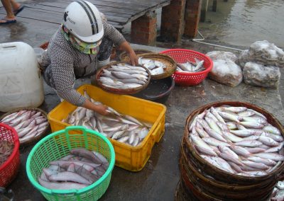 file-nov-10-23-37-03