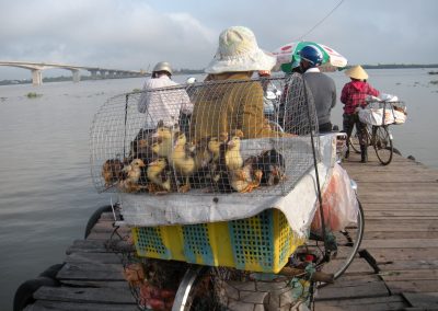 file-nov-10-23-39-46